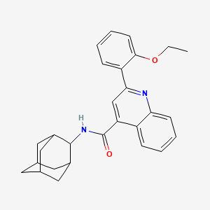 molecular formula C28H30N2O2 B5962895 N-2-adamantyl-2-(2-ethoxyphenyl)-4-quinolinecarboxamide 