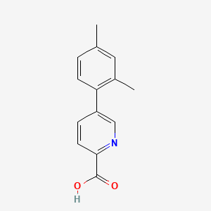 molecular formula C14H13NO2 B596317 5-(2,4-二甲基苯基)吡啶-2-甲酸 CAS No. 1226037-84-8