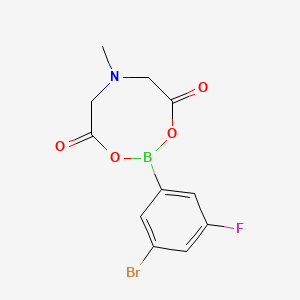 molecular formula C11H10BBrFNO4 B596372 2-(3-Bromo-5-fluorophenyl)-6-methyl-1,3,6,2-dioxazaborocane-4,8-dione CAS No. 1257650-61-5