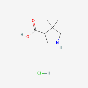 molecular formula C7H14ClNO2 B596378 4,4-Dimethylpyrrolidine-3-carboxylic acid hydrochloride CAS No. 1351343-41-3