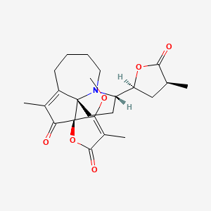 molecular formula C23H29NO6 B596388 原茎茶碱 CAS No. 169534-85-4