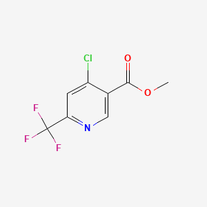 molecular formula C8H5ClF3NO2 B596391 Methyl 4-chloro-6-(trifluoromethyl)nicotinate CAS No. 1211539-36-4