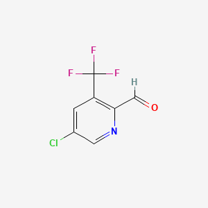 molecular formula C7H3ClF3NO B596402 5-Chloro-3-(trifluoromethyl)picolinaldehyde CAS No. 1227605-33-5