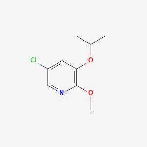 molecular formula C9H12ClNO2 B596434 5-Chloro-3-isopropoxy-2-methoxypyridine CAS No. 1228957-00-3