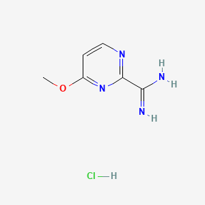 molecular formula C6H9ClN4O B596443 4-甲氧基嘧啶-2-甲酰亚胺酰胺盐酸盐 CAS No. 1363383-07-6
