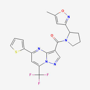 molecular formula C20H16F3N5O2S B5964513 3-{[2-(5-methyl-3-isoxazolyl)-1-pyrrolidinyl]carbonyl}-5-(2-thienyl)-7-(trifluoromethyl)pyrazolo[1,5-a]pyrimidine 