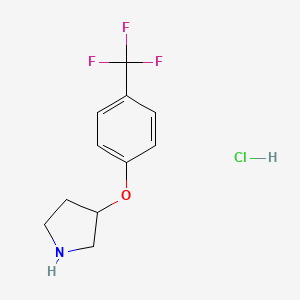 molecular formula C11H13ClF3NO B596520 3-[4-(Trifluoromethyl)phenoxy]pyrrolidine hydrochloride CAS No. 1211511-40-8