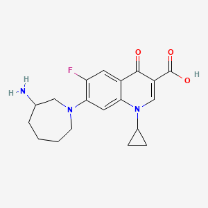 molecular formula C19H22FN3O3 B596525 7-(3-氨基氮杂环-1-基)-1-环丙基-6-氟-4-氧代-1,4-二氢喹啉-3-甲酸 CAS No. 141388-65-0