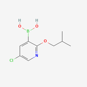 molecular formula C9H13BClNO3 B596537 5-氯-2-异丁氧基吡啶-3-硼酸 CAS No. 1217501-42-2