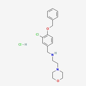 molecular formula C20H26Cl2N2O2 B5965385 N-[4-(benzyloxy)-3-chlorobenzyl]-2-morpholin-4-ylethanamine hydrochloride 