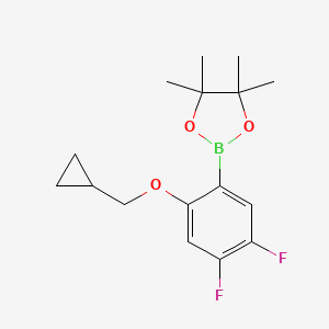 molecular formula C16H21BF2O3 B596555 2-[2-(环丙基甲氧基)-4,5-二氟苯基]-4,4,5,5-四甲基-1,3,2-二氧杂硼环 CAS No. 1245816-08-3