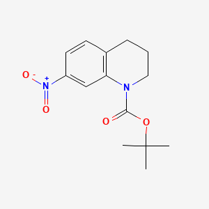 molecular formula C14H18N2O4 B596574 tert-butyl 7-nitro-3,4-dihydroquinoline-1(2H)-carboxylate CAS No. 1236060-43-7