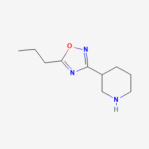 molecular formula C10H17N3O B596625 3-(Piperidin-3-yl)-5-propyl-1,2,4-oxadiazole CAS No. 1270744-79-0