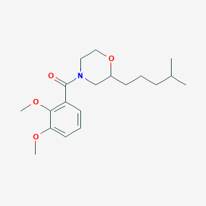 4-(2,3-dimethoxybenzoyl)-2-(4-methylpentyl)morpholine