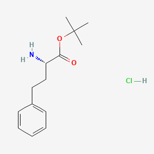 molecular formula C14H22ClNO2 B596667 (S)-tert-Butyl 2-amino-4-phenylbutanoate hydrochloride CAS No. 130316-46-0