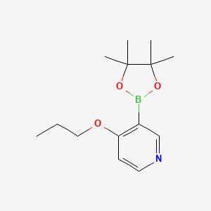 molecular formula C14H22BNO3 B596730 4-Propoxy-3-(4,4,5,5-tetramethyl-1,3,2-dioxaborolan-2-yl)pyridine CAS No. 1351994-80-3