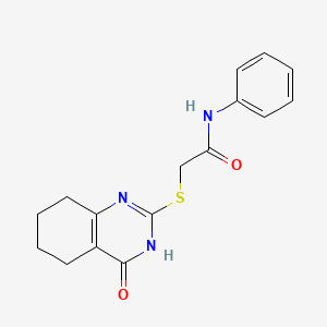 molecular formula C16H17N3O2S B5967331 2-[(4-oxo-3,4,5,6,7,8-hexahydro-2-quinazolinyl)thio]-N-phenylacetamide 