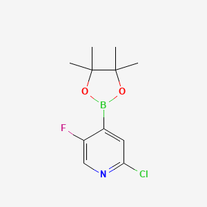 molecular formula C11H14BClFNO2 B596734 2-Chloro-5-fluoro-4-(4,4,5,5-tetramethyl-1,3,2-dioxaborolan-2-yl)pyridine CAS No. 1256360-62-9