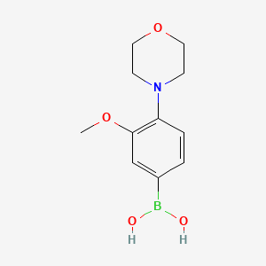 molecular formula C11H16BNO4 B596736 (3-甲氧基-4-吗啉苯基)硼酸 CAS No. 1228182-92-0