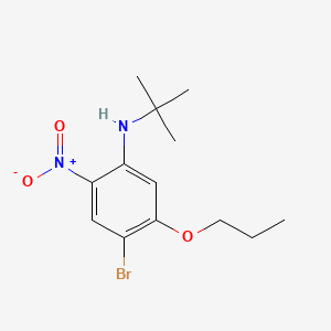 molecular formula C13H19BrN2O3 B596739 4-溴-N-(叔丁基)-2-硝基-5-丙氧基苯胺 CAS No. 1305322-90-0