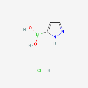 molecular formula C3H6BClN2O2 B596747 (1H-吡唑-3-基)硼酸盐酸盐 CAS No. 1314216-33-5