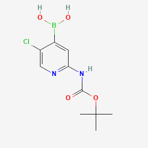 molecular formula C10H14BClN2O4 B596773 2-(Tert-butoxycarbonylamino)-5-chloropyridin-4-ylboronic acid CAS No. 1222522-36-2