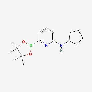 molecular formula C16H25BN2O2 B596804 N-环戊基-6-(4,4,5,5-四甲基-1,3,2-二氧杂硼烷-2-基)吡啶-2-胺 CAS No. 1310404-92-2