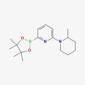 molecular formula C17H27BN2O2 B596830 2-(2-Methylpiperidin-1-yl)-6-(4,4,5,5-tetramethyl-1,3,2-dioxaborolan-2-yl)pyridine CAS No. 1309982-28-2