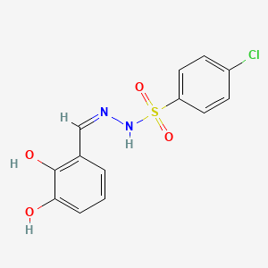 molecular formula C13H11ClN2O4S B5968510 4-chloro-N'-(2,3-dihydroxybenzylidene)benzenesulfonohydrazide 
