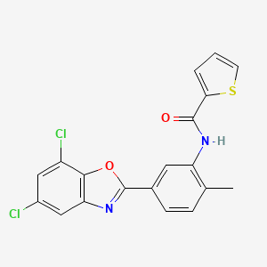 molecular formula C19H12Cl2N2O2S B5969517 N-[5-(5,7-dichloro-1,3-benzoxazol-2-yl)-2-methylphenyl]-2-thiophenecarboxamide 