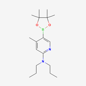 molecular formula C18H31BN2O2 B596955 4-Methyl-n,n-dipropyl-5-(4,4,5,5-tetramethyl-1,3,2-dioxaborolan-2-yl)pyridin-2-amine CAS No. 1353723-55-3