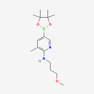 molecular formula C16H27BN2O3 B596983 n-(3-Methoxypropyl)-3-methyl-5-(4,4,5,5-tetramethyl-1,3,2-dioxaborolan-2-yl)pyridin-2-amine CAS No. 1356363-66-0