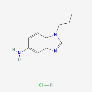 molecular formula C11H16ClN3 B5969872 2-methyl-1-propyl-1H-benzimidazol-5-amine hydrochloride 