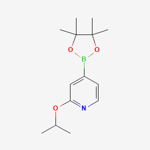 molecular formula C14H22BNO3 B597000 2-异丙氧基-4-(4,4,5,5-四甲基-1,3,2-二氧杂硼烷-2-基)吡啶 CAS No. 1257554-10-1