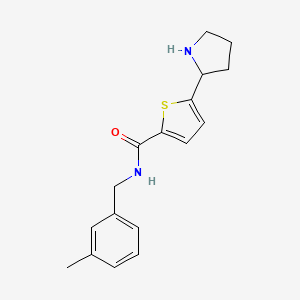 molecular formula C17H20N2OS B5970093 N-(3-methylbenzyl)-5-(2-pyrrolidinyl)-2-thiophenecarboxamide trifluoroacetate 