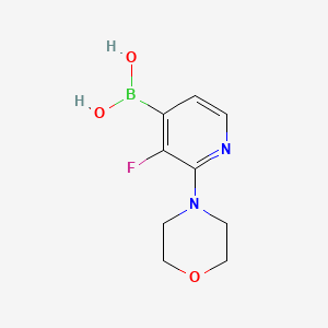 molecular formula C9H12BFN2O3 B597014 3-氟-2-吗啉基吡啶-4-硼酸 CAS No. 1256355-28-8