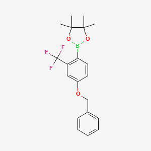 molecular formula C20H22BF3O3 B597015 2-(4-(苄氧基)-2-(三氟甲基)苯基)-4,4,5,5-四甲基-1,3,2-二氧杂硼环 CAS No. 1218790-07-8