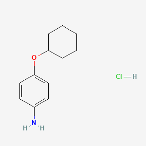 molecular formula C12H18ClNO B597020 4-(Cyclohexyloxy)aniline hydrochloride CAS No. 105971-50-4