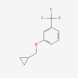 molecular formula C11H11F3O B597021 1-(环丙基甲氧基)-3-(三氟甲基)苯 CAS No. 1257665-22-7