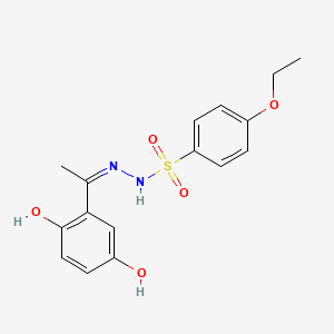 molecular formula C16H18N2O5S B5970606 N'-[1-(2,5-dihydroxyphenyl)ethylidene]-4-ethoxybenzenesulfonohydrazide 