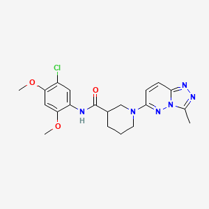 molecular formula C20H23ClN6O3 B5971058 N-(5-chloro-2,4-dimethoxyphenyl)-1-(3-methyl[1,2,4]triazolo[4,3-b]pyridazin-6-yl)-3-piperidinecarboxamide 