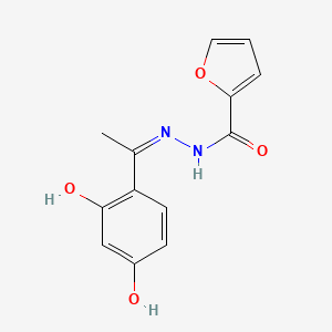 molecular formula C13H12N2O4 B5971411 N'-[1-(2,4-dihydroxyphenyl)ethylidene]-2-furohydrazide 