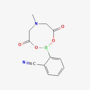 molecular formula C12H11BN2O4 B597179 2-(6-Methyl-4,8-dioxo-1,3,6,2-dioxazaborocan-2-yl)benzonitrile CAS No. 1257739-16-4