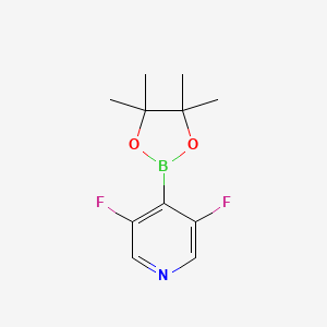molecular formula C11H14BF2NO2 B597219 3,5-Difluoro-4-(4,4,5,5-tetramethyl-1,3,2-dioxaborolan-2-yl)pyridine CAS No. 1310404-59-1