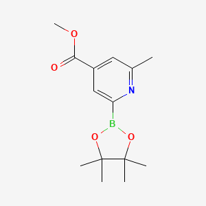 molecular formula C14H20BNO4 B597226 Methyl 2-methyl-6-(4,4,5,5-tetramethyl-1,3,2-dioxaborolan-2-yl)isonicotinate CAS No. 1309982-35-1