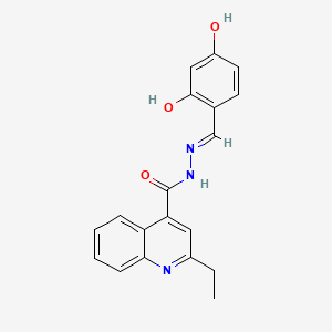 molecular formula C19H17N3O3 B5972269 N'-(2,4-dihydroxybenzylidene)-2-ethyl-4-quinolinecarbohydrazide 