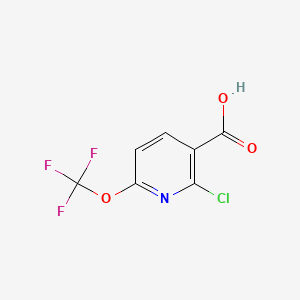 molecular formula C7H3ClF3NO3 B597260 2-氯-6-(三氟甲氧基)烟酸 CAS No. 1221172-04-8