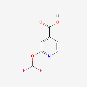 molecular formula C7H5F2NO3 B597304 2-(二氟甲氧基)异烟酸 CAS No. 1211581-51-9