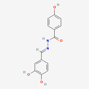 molecular formula C14H12N2O4 B5973429 N'-(3,4-dihydroxybenzylidene)-4-hydroxybenzohydrazide 