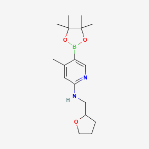 B597344 4-Methyl-N-((tetrahydrofuran-2-yl)Methyl)-5-(4,4,5,5-tetraMethyl-1,3,2-dioxaborolan-2-yl)pyridin-2-a CAS No. 1353718-73-6